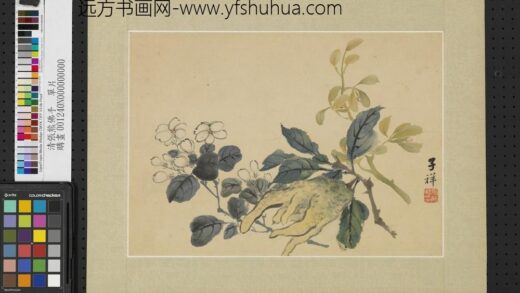 清张熊佛手单片.jpg