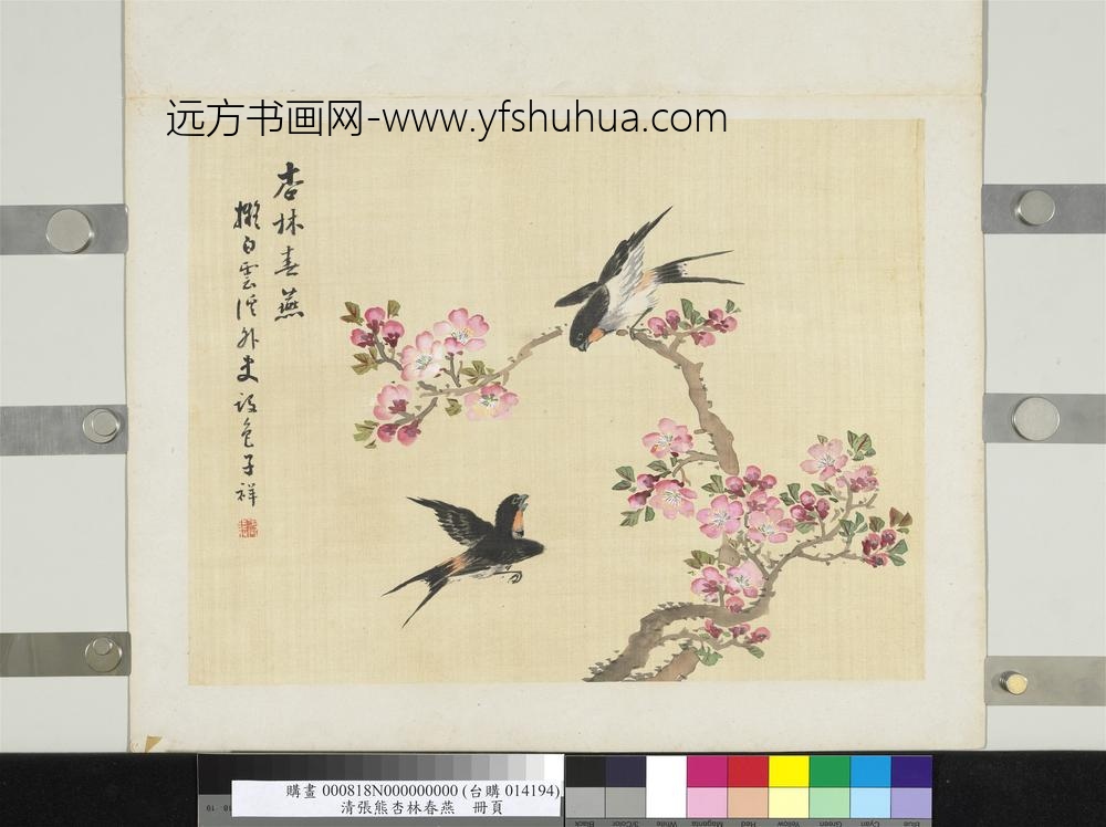 清张熊杏林春燕册页