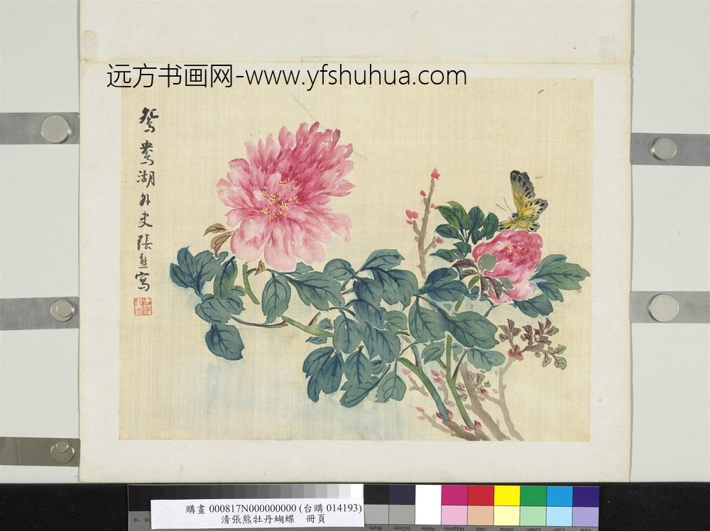 清张熊牡丹蝴蝶册页