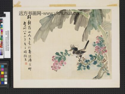 清张熊芭蕉翠鸟单片.jpg