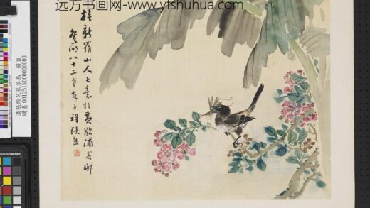 清张熊芭蕉翠鸟单片.jpg