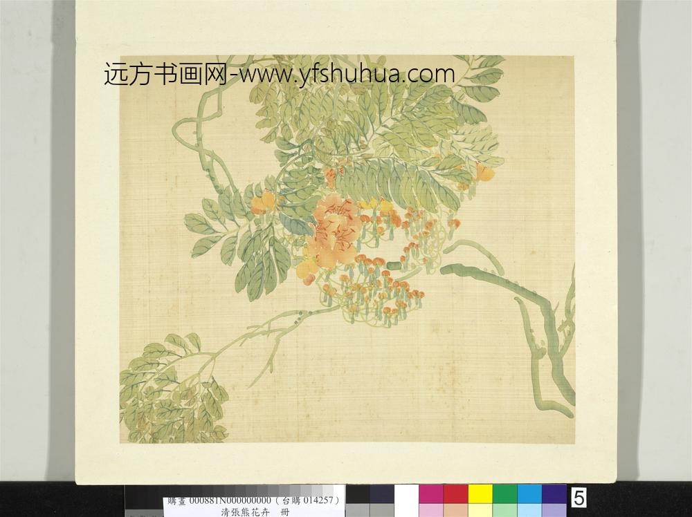 清张熊花卉册册凌霄