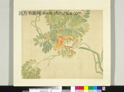 清张熊花卉册册凌霄.jpg