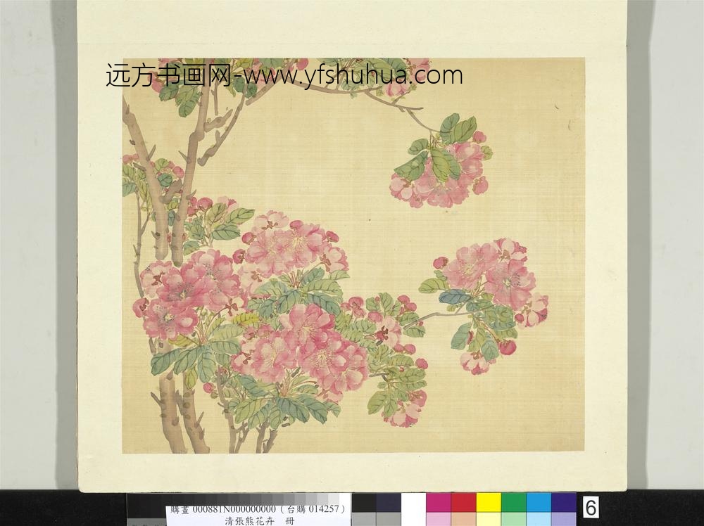 清张熊花卉册册海棠