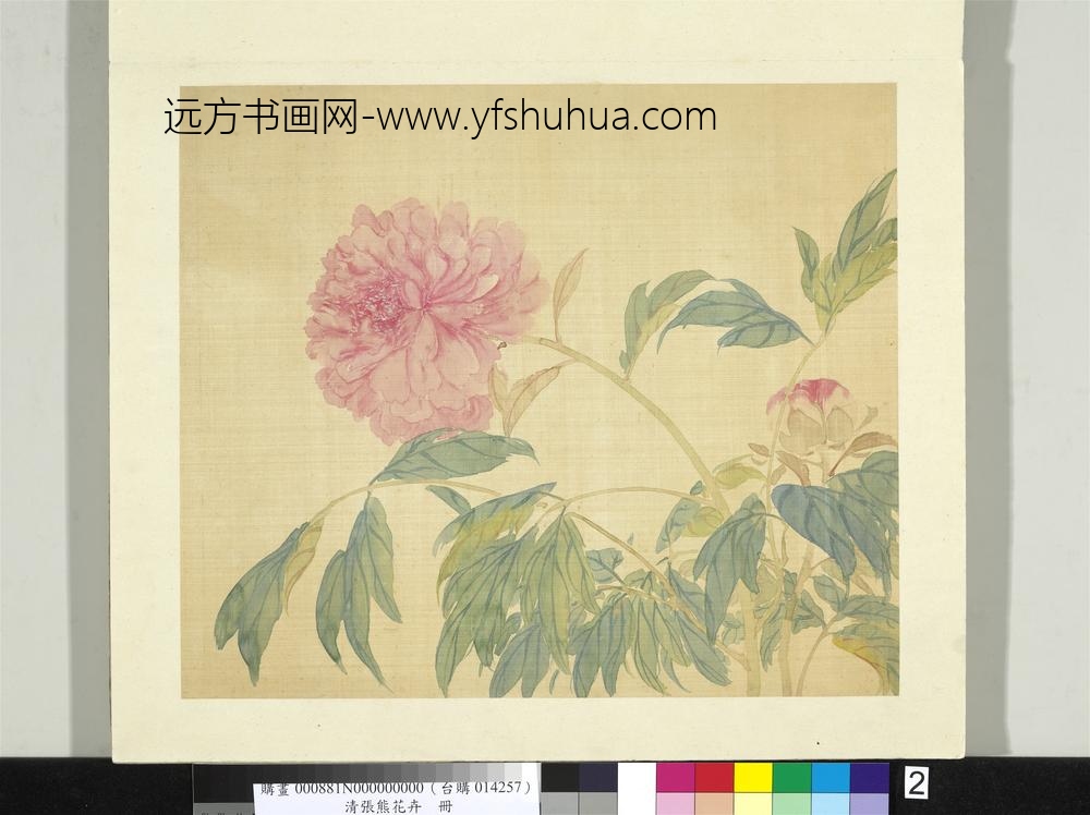 清张熊花卉册册牡丹