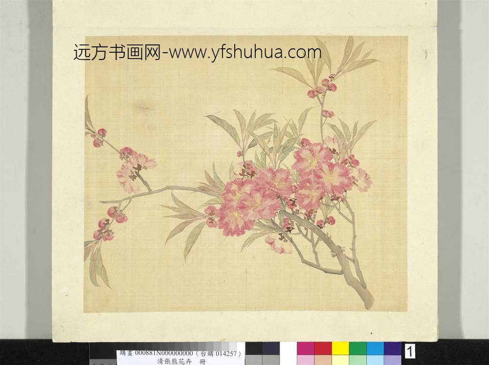 清张熊花卉册册碧桃花