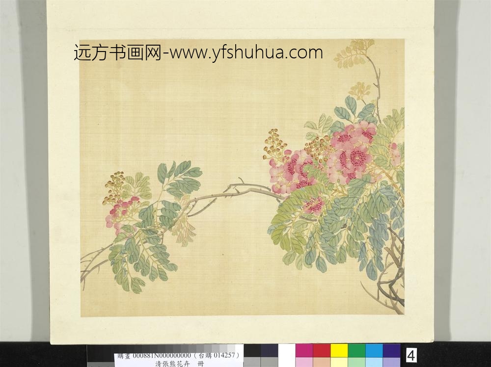 清张熊花卉册册紫薇