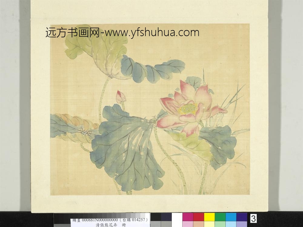 清张熊花卉册册荷花