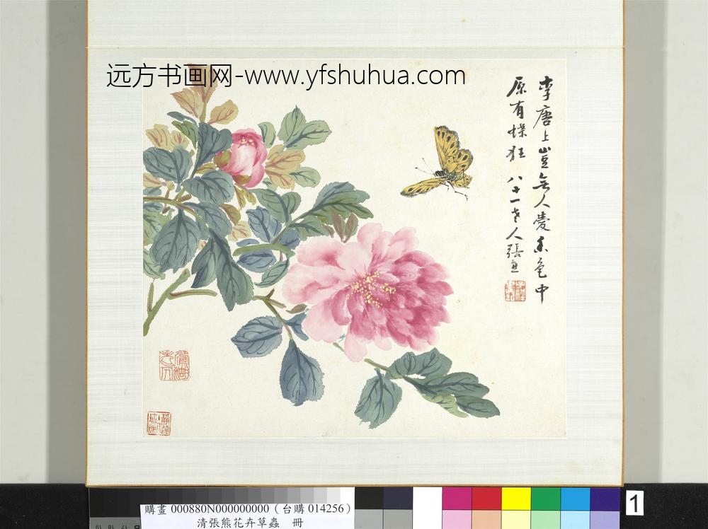 清张熊花卉草虫册册（一）