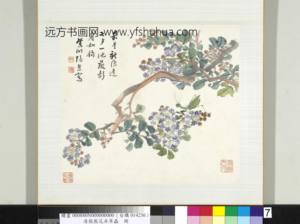 清张熊花卉草虫册册（七）