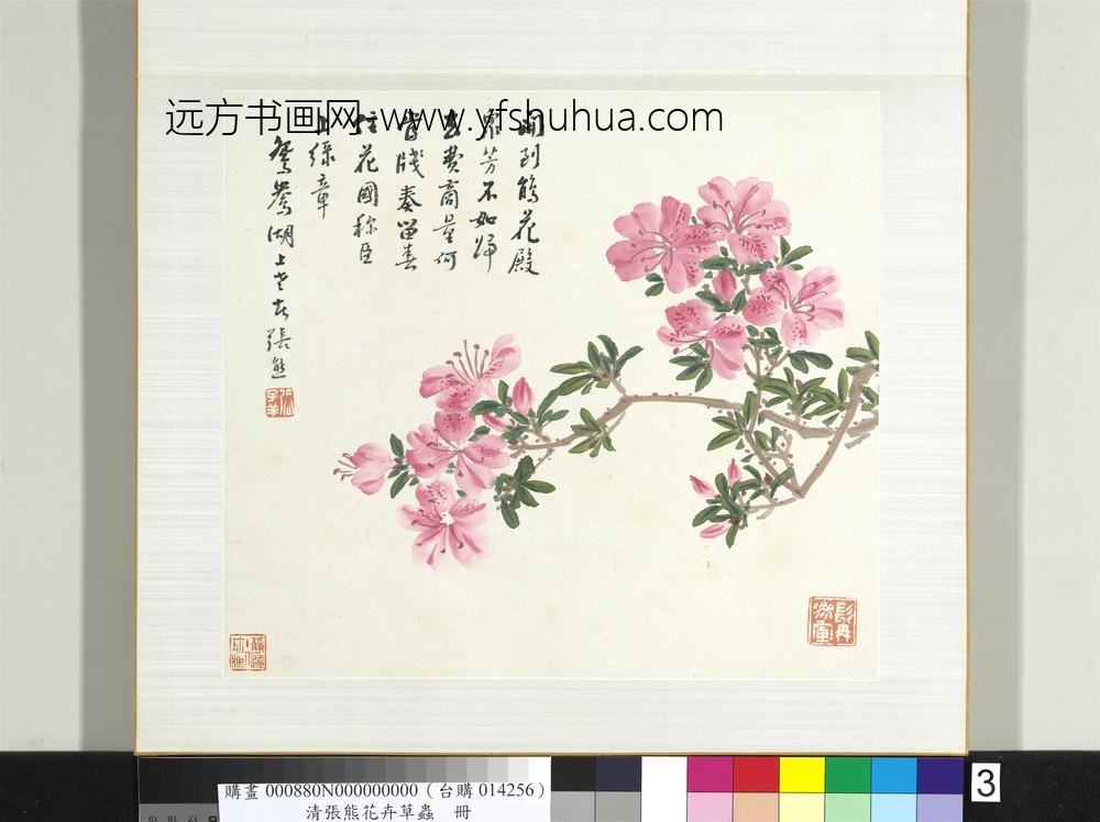 清张熊花卉草虫册册（三）