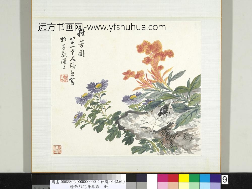 清张熊花卉草虫册册（九）