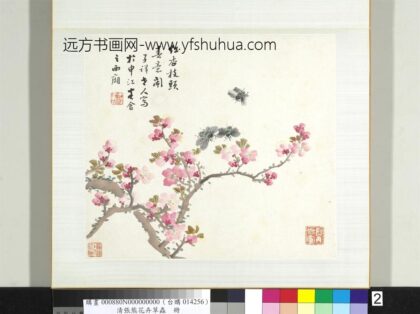 清张熊花卉草虫册册（二）.jpg