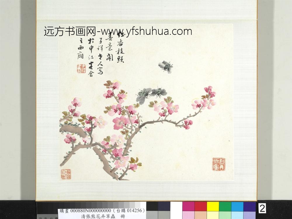 清张熊花卉草虫册册（二）