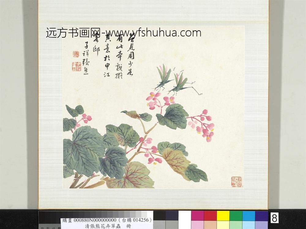 清张熊花卉草虫册册（八）