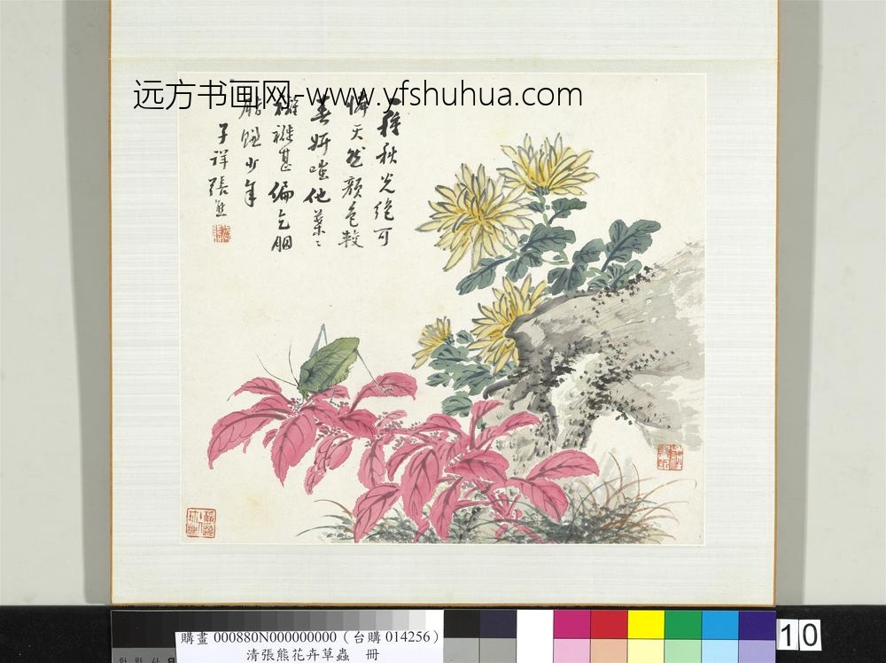 清张熊花卉草虫册册（十）