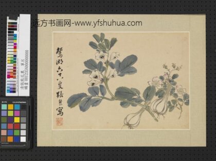 清张熊花果单片.jpg