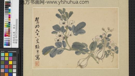 清张熊花果单片.jpg