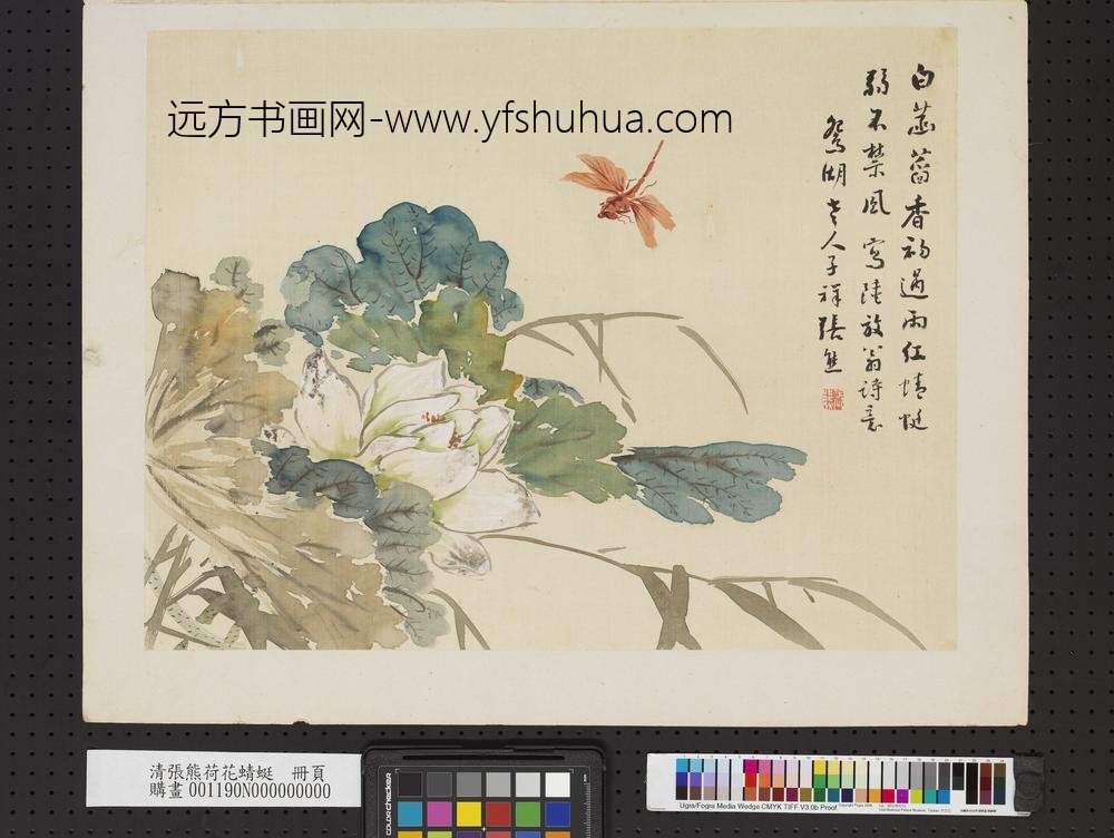 清张熊荷花蜻蜓册页
