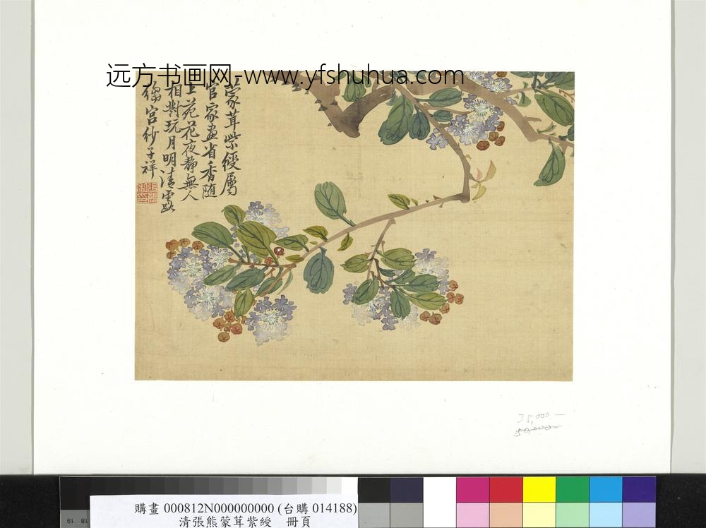 清张熊蒙茸紫绶册页