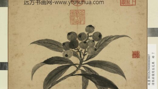清张若霭写生花果册枇杷.jpg