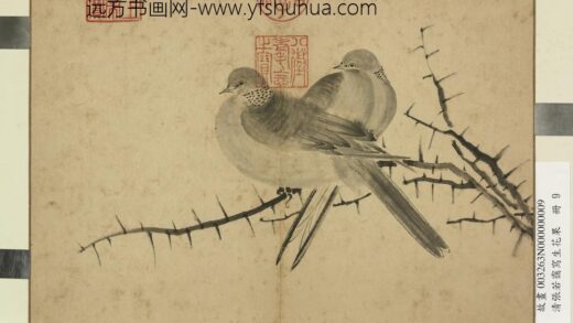 清张若霭写生花果册棘针白鸽.jpg