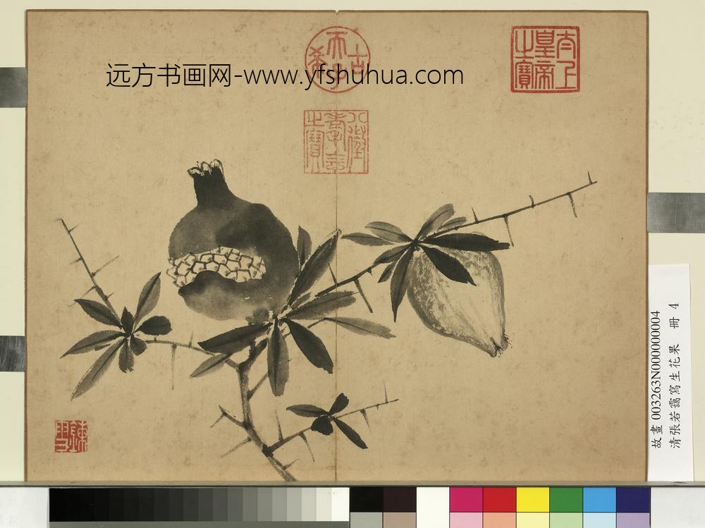 清张若霭写生花果册榴实