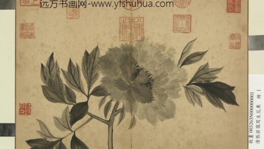 清张若霭写生花果册牡丹.jpg