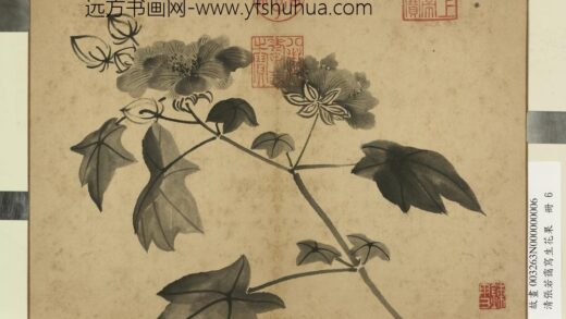 清张若霭写生花果册秋葵.jpg