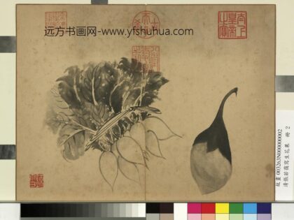 清张若霭写生花果册萝卜与茄.jpg
