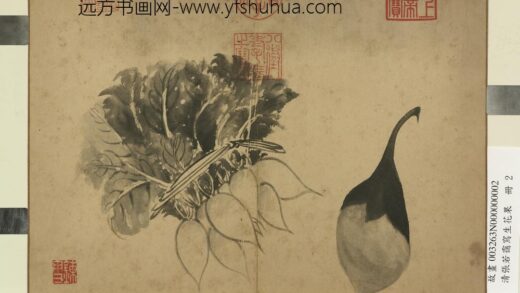清张若霭写生花果册萝卜与茄.jpg