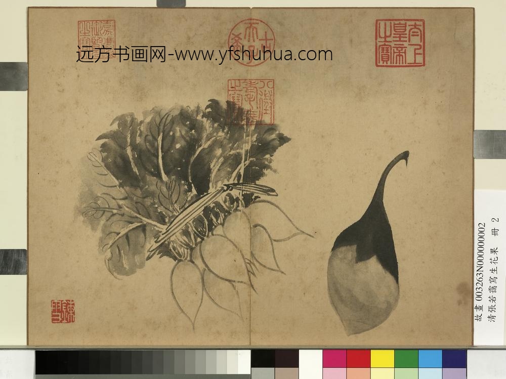 清张若霭写生花果册萝卜与茄