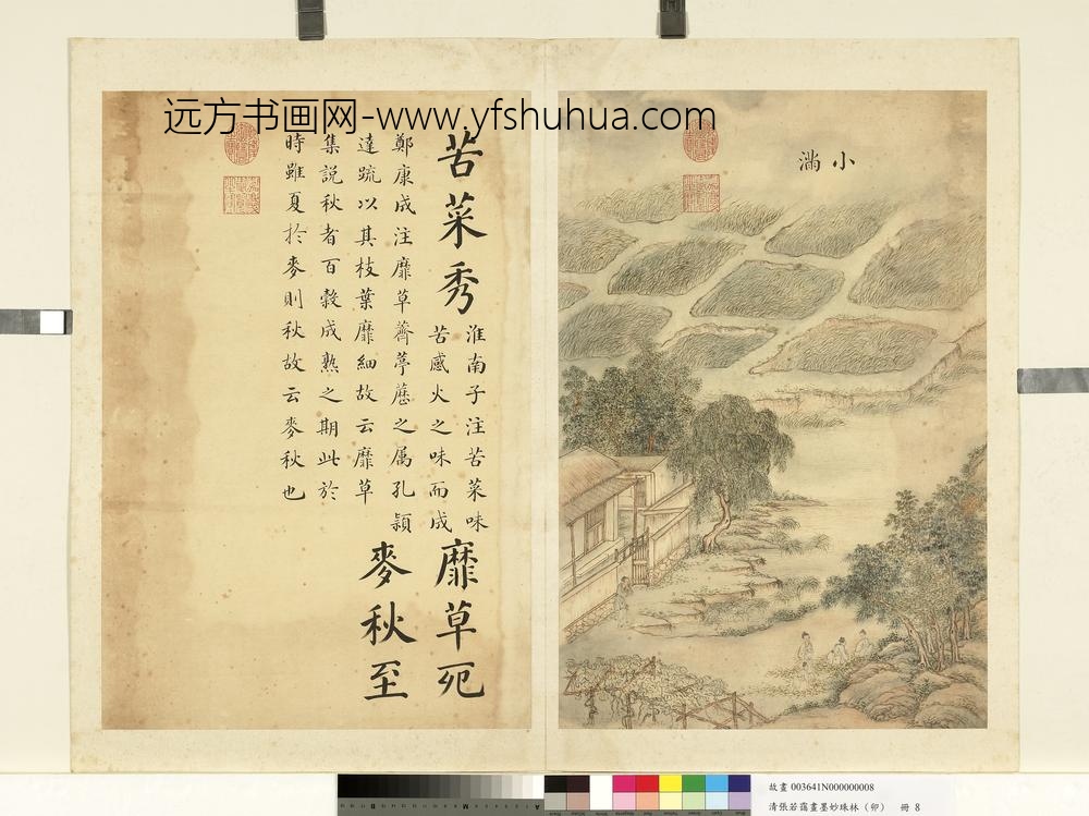 清张若霭画墨妙珠林（卯）册小满
