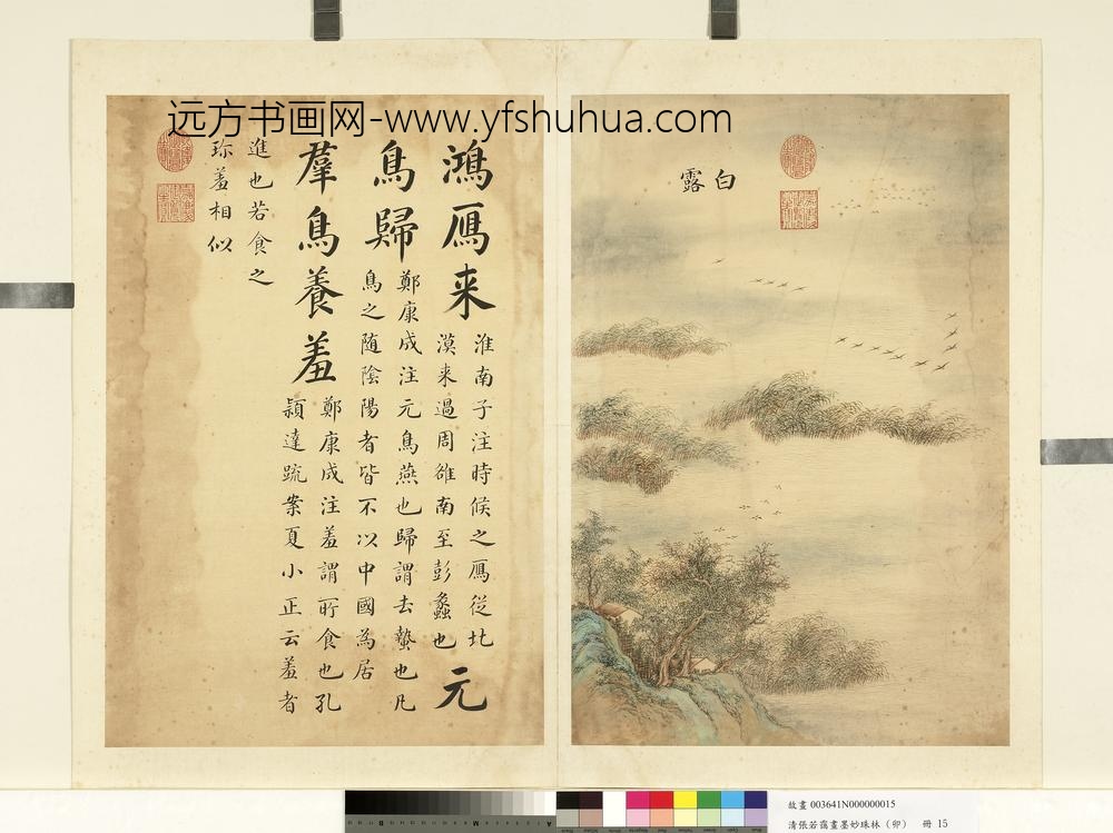 清张若霭画墨妙珠林（卯）册白露