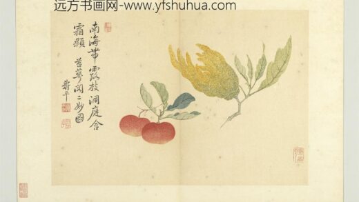 清恽寿平写生册佛手朱橘.jpg