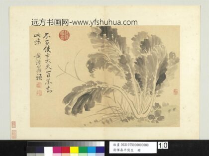 清恽寿平写生册墨菜.jpg