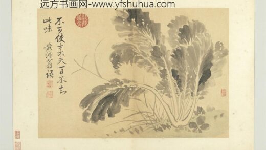 清恽寿平写生册墨菜.jpg
