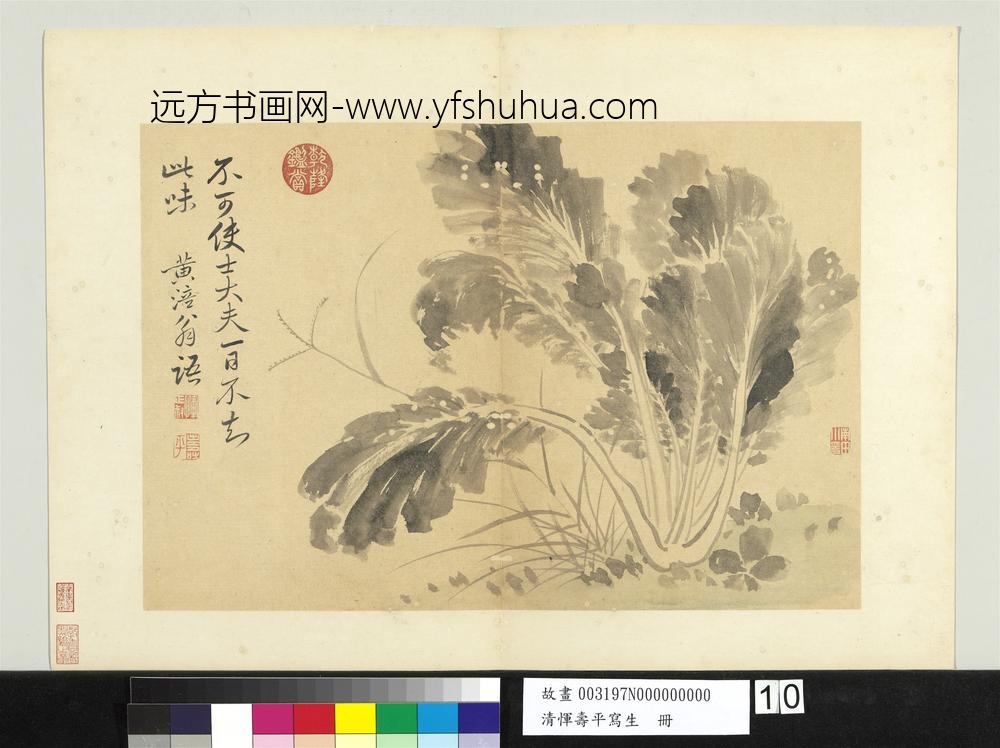 清恽寿平写生册墨菜