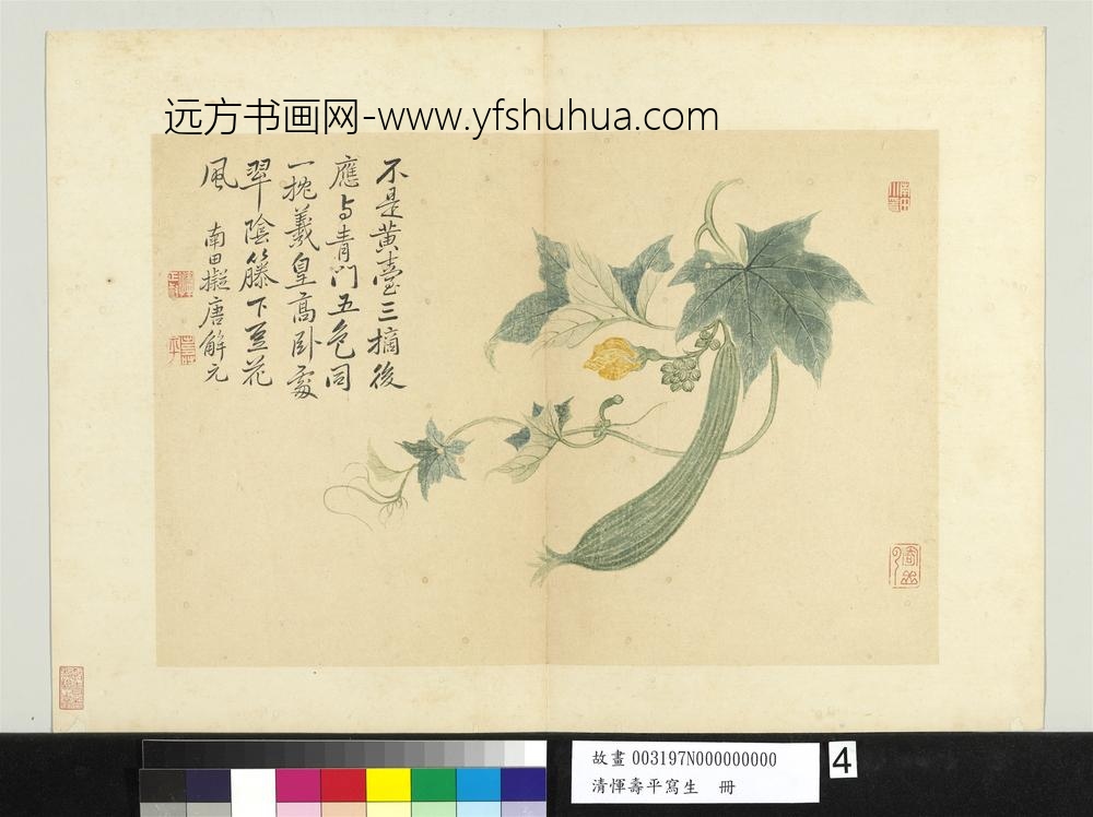 清恽寿平写生册瓜蔓