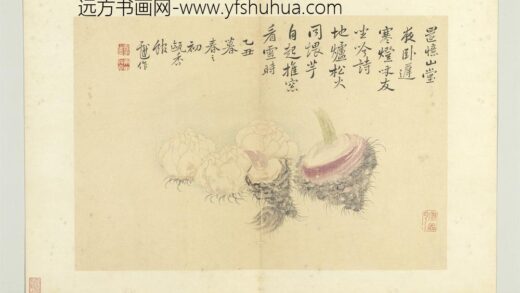 清恽寿平写生册百合芋魁.jpg