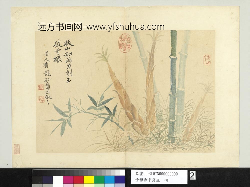 清恽寿平写生册竹笋