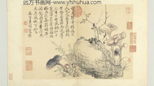 清恽寿平写生册芝草.jpg