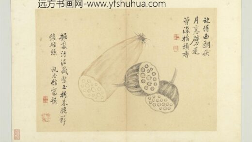 清恽寿平写生册莲藕.jpg