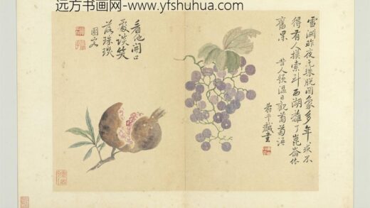 清恽寿平写生册葡萄石榴.jpg