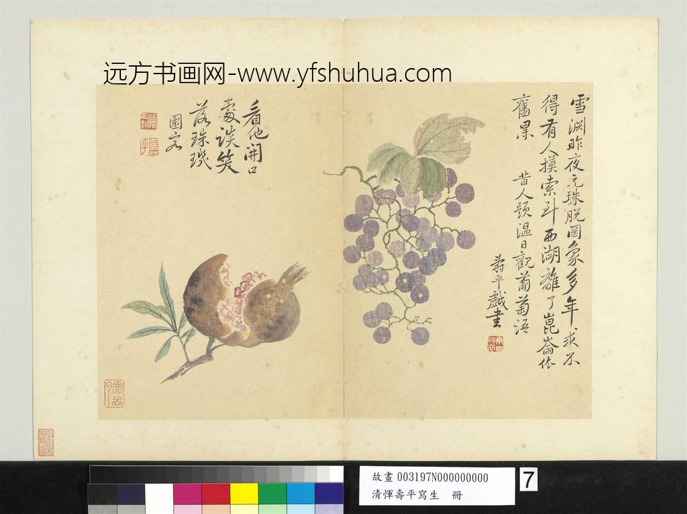 清恽寿平写生册葡萄石榴