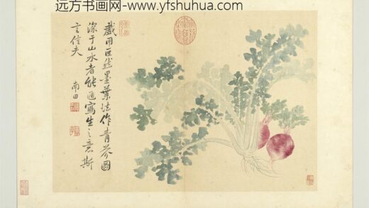 清恽寿平写生册青芥.jpg