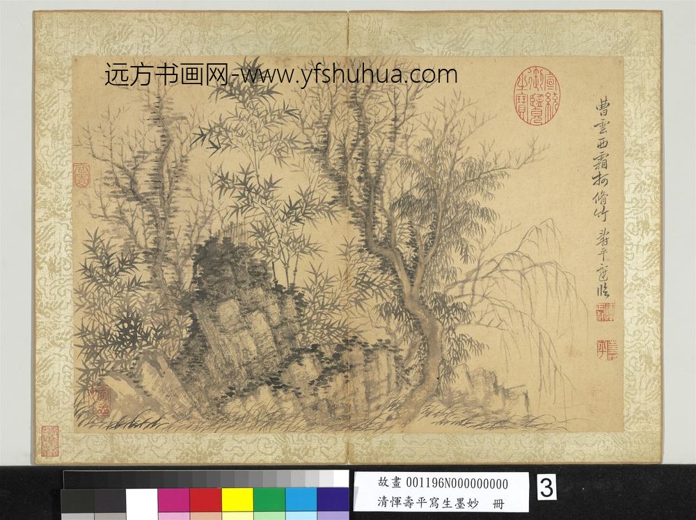 清恽寿平写生墨妙册仿曹知白霜柯修竹