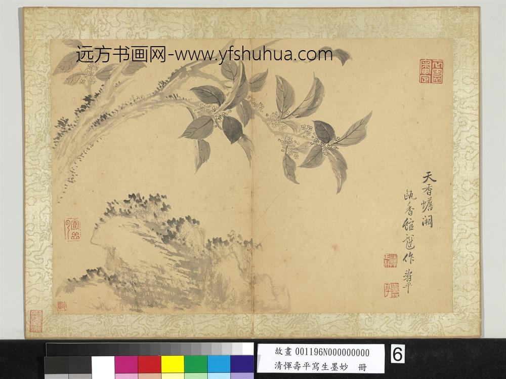 清恽寿平写生墨妙册天香蟾阙