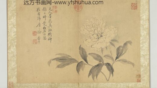 清恽寿平写生墨妙册牡丹.jpg