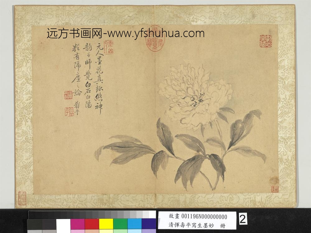 清恽寿平写生墨妙册牡丹